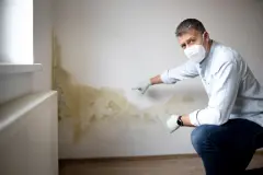 Schimmelsanierung mit Blähglas Leichtbauplatten
